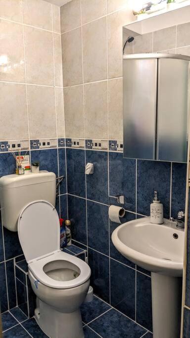 Cosy One Bedroom Flat With Free Parking & Wifi Cluj Napoca Bagian luar foto